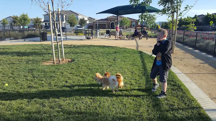 Dakota (Dog) Park 8
