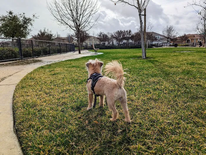Dakota (Dog) Park 4