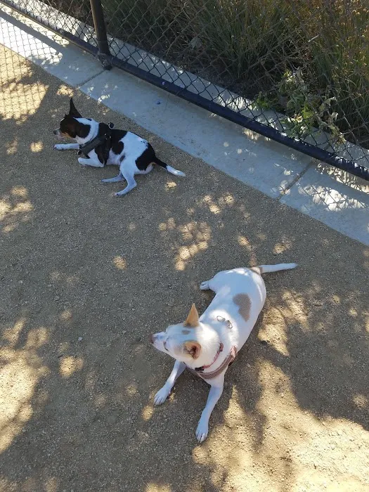 Dakota (Dog) Park 1
