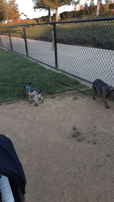 Kings Dog Park 10
