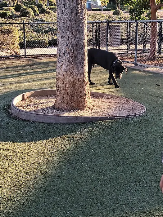 Kings Dog Park 9