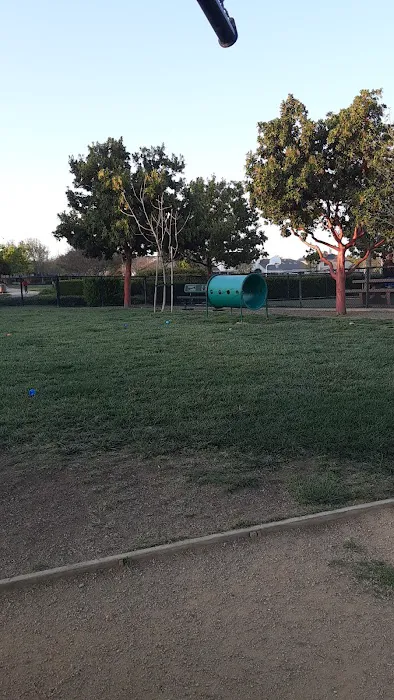 Kings Dog Park 5