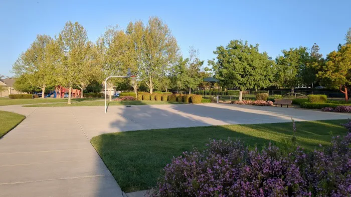 Kings Dog Park 2