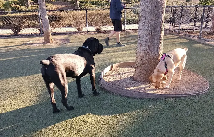 Kings Dog Park 7