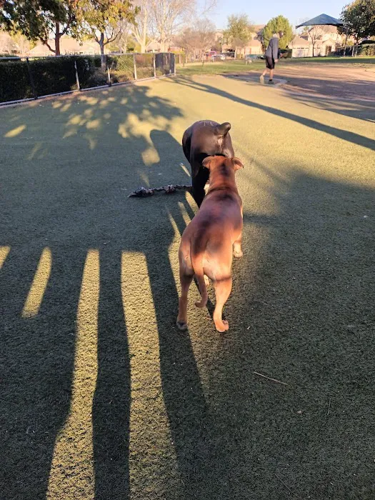 Kings Dog Park 3