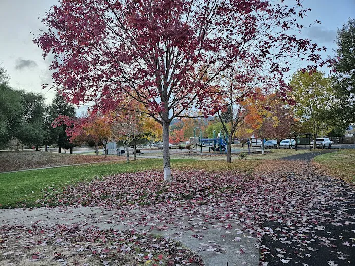 Ernie Smith-Park Dog Park 6