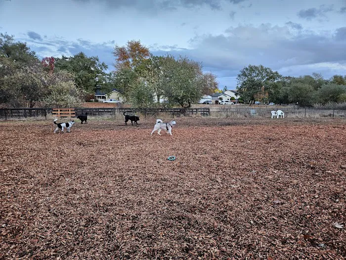 Ernie Smith-Park Dog Park 4