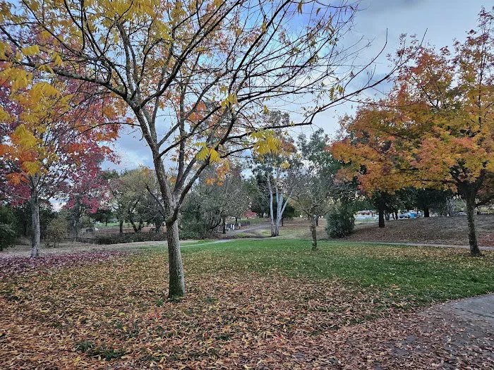Ernie Smith-Park Dog Park 7