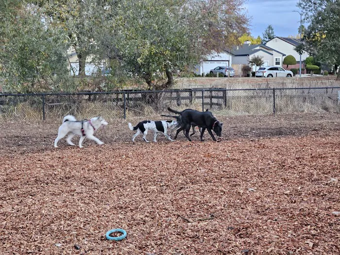 Ernie Smith-Park Dog Park 5