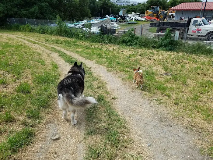 Rocky Memorial Dog Park 10