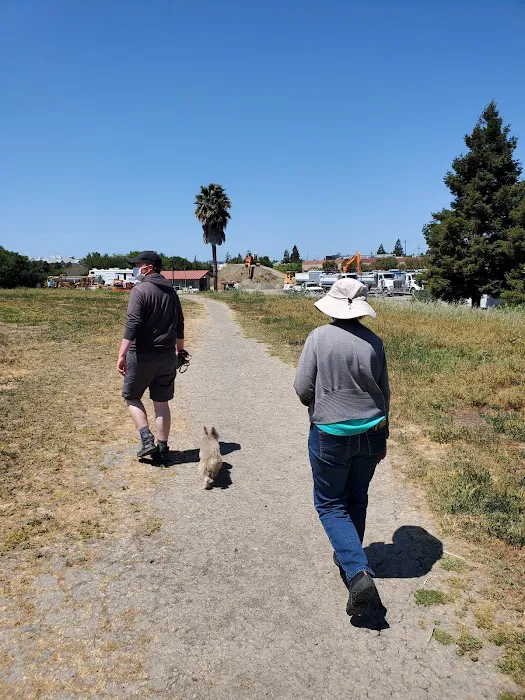Rocky Memorial Dog Park 4