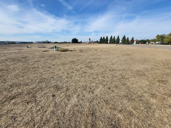 Rocky Memorial Dog Park 8