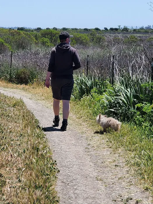 Rocky Memorial Dog Park 7