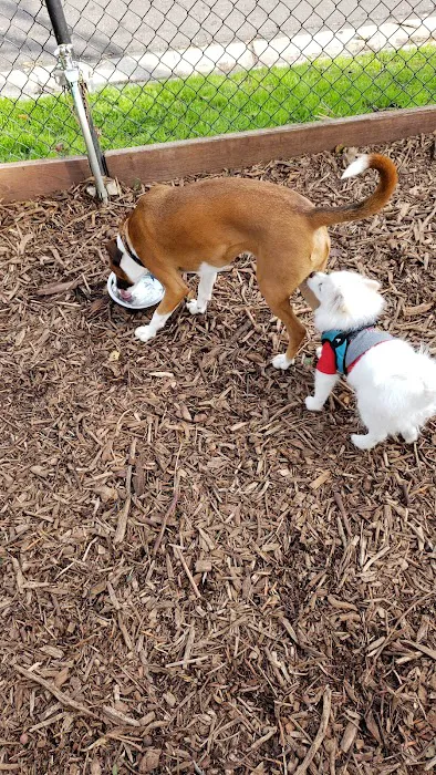 Bruce King Memorial Dog Park 3