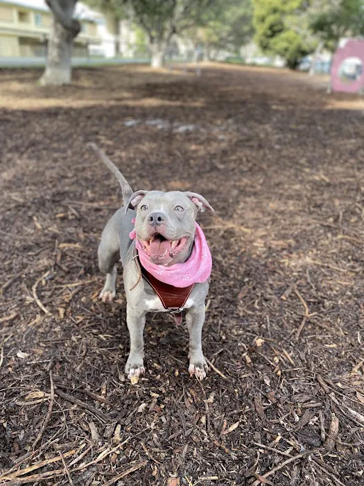 Bruce King Memorial Dog Park 1