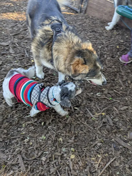 Bruce King Memorial Dog Park 5