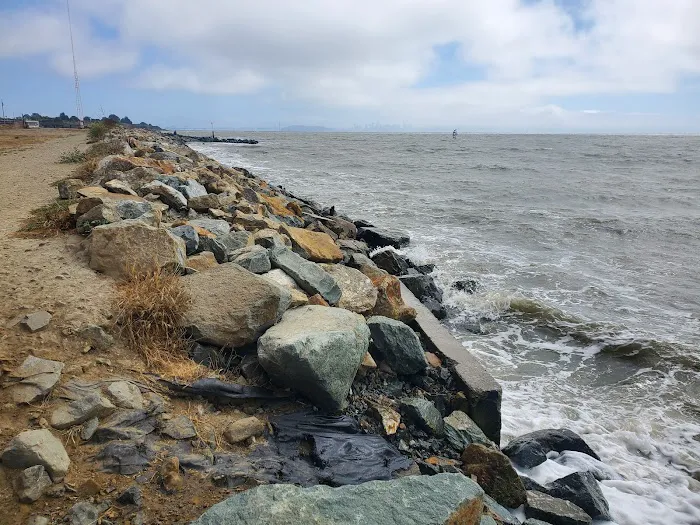 Point Isabel Dog Park 6