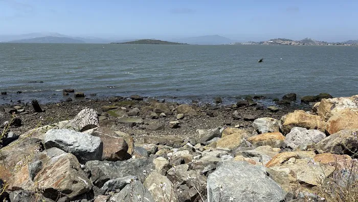 Point Isabel Dog Park 9