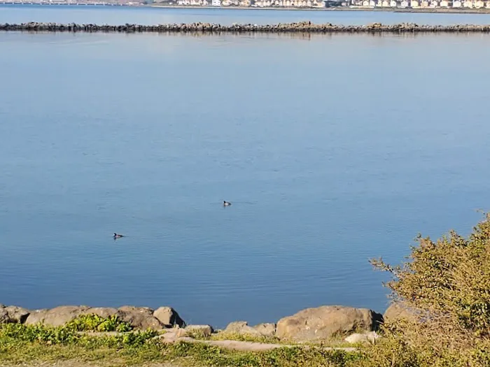 Point Isabel Dog Park 2