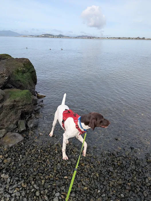Point Isabel Dog Park 8