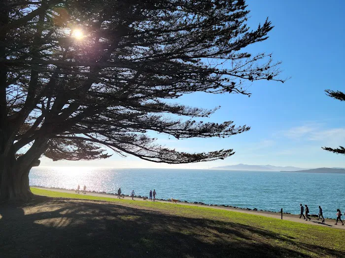 Point Isabel Dog Park 5