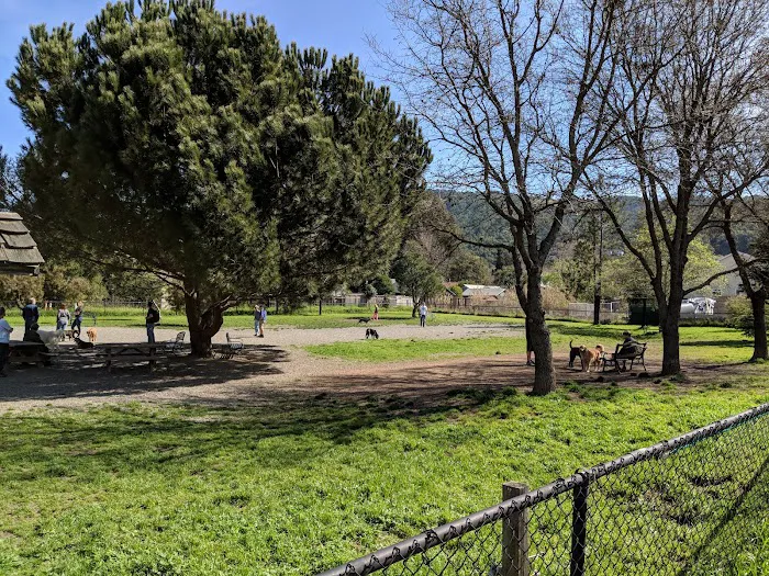 Field of Dogs Dog Park 3