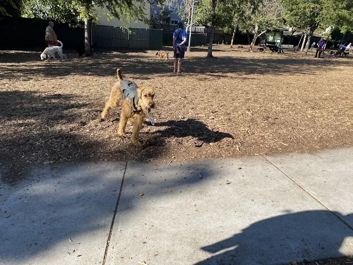 Ohlone Dog Park 8
