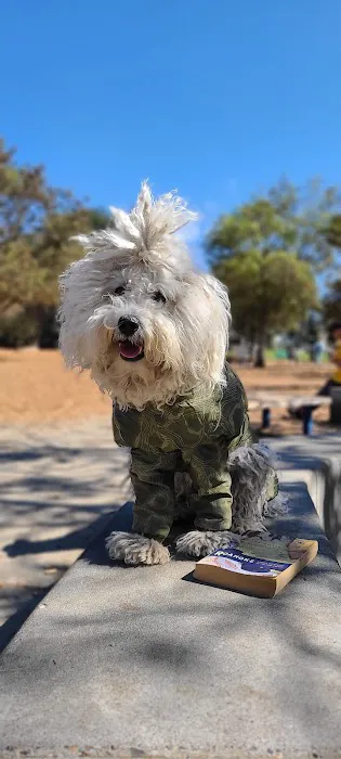 Ohlone Dog Park 1