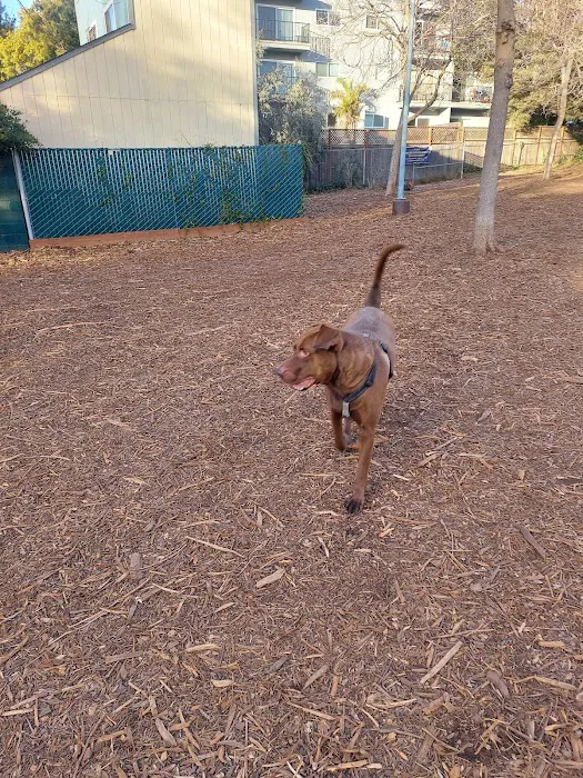 Ohlone Dog Park 6