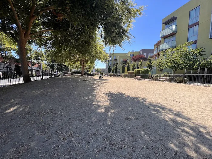 Dog park 4