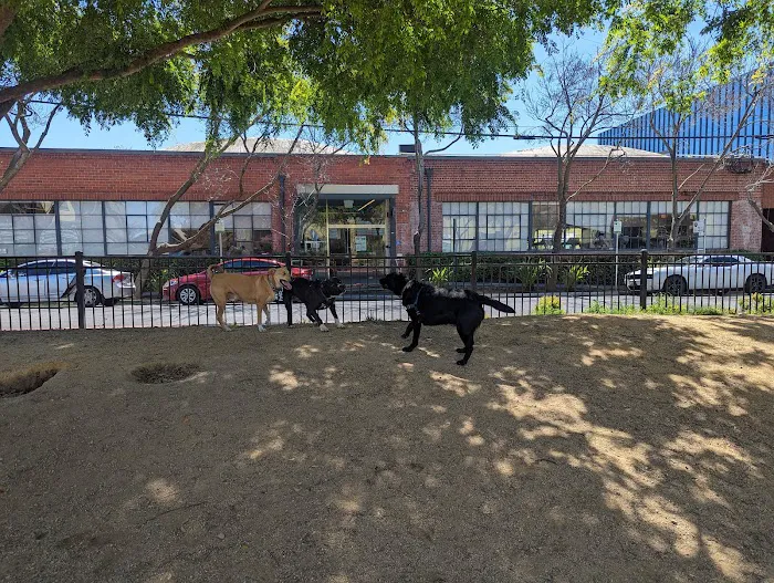 Dog park 1