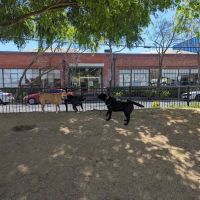 Dog park ico