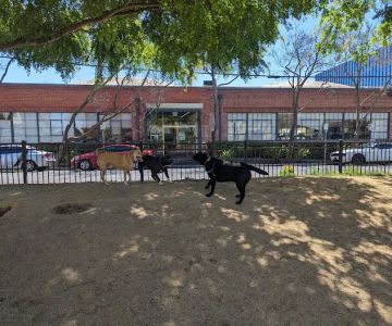 Dog park