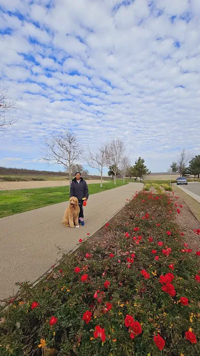 Lathrop Dog Park 3