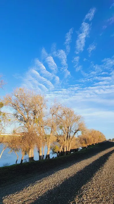 Lathrop Dog Park 2