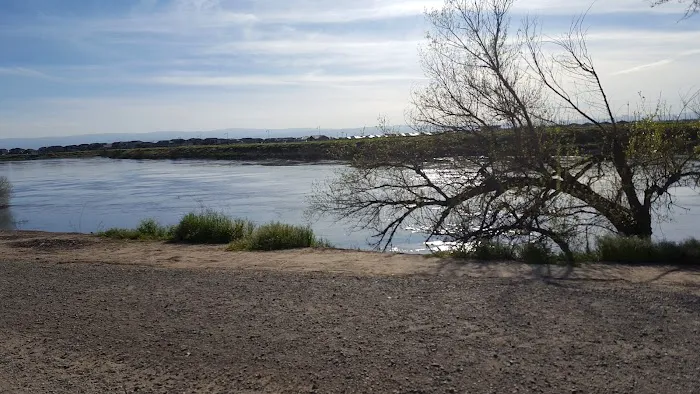 Lathrop Dog Park 10