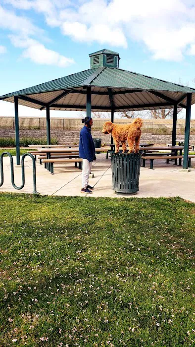 Lathrop Dog Park 1