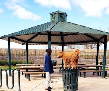 Lathrop Dog Park