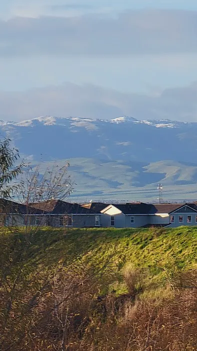 Lathrop Dog Park 5