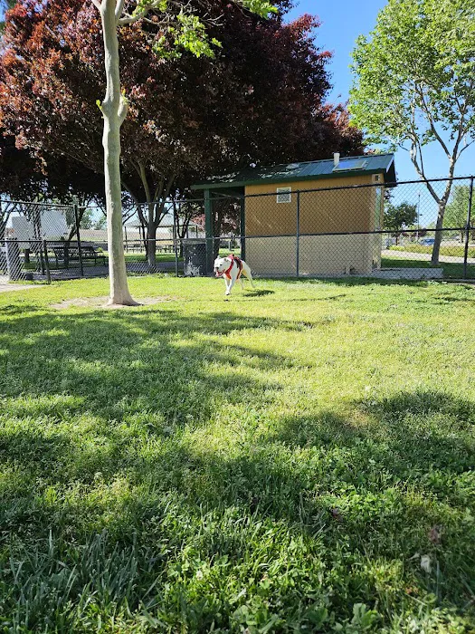 Lathrop Dog Park 3