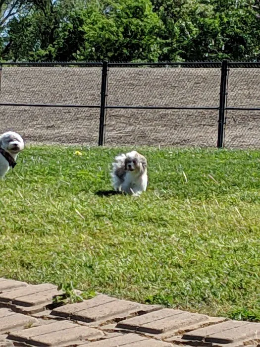 Lathrop Dog Park 8