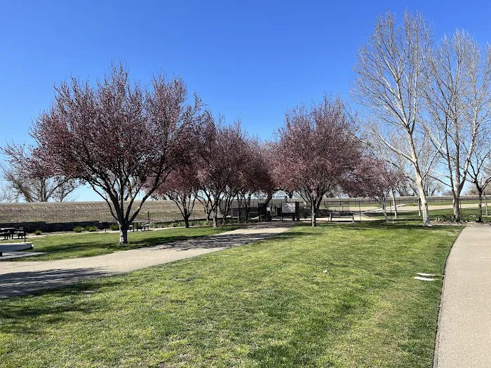 Lathrop Dog Park 10