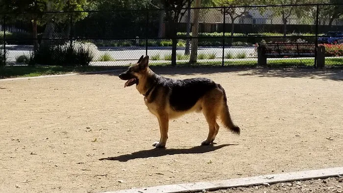 Lathrop Dog Park 6
