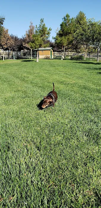 Lathrop Dog Park 5
