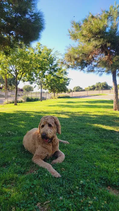 Lathrop Dog Park 9