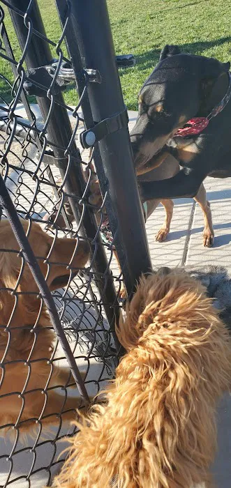 River Islands Dog Park 7