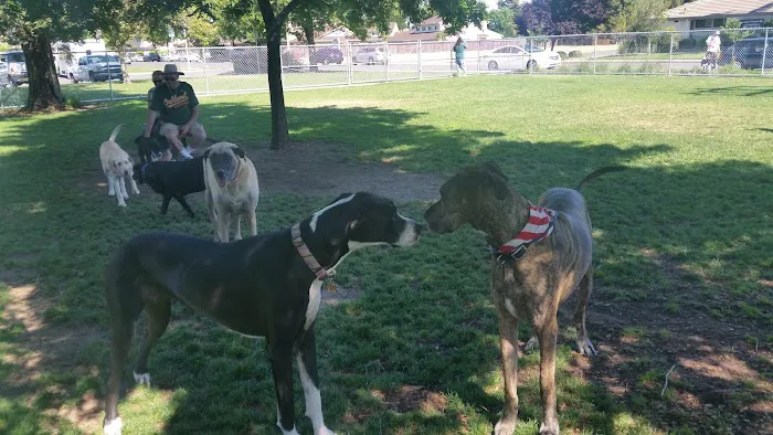 Manteca Dog Park 7