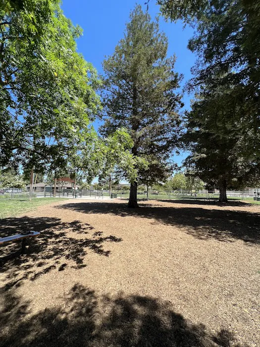 Manteca Dog Park 3