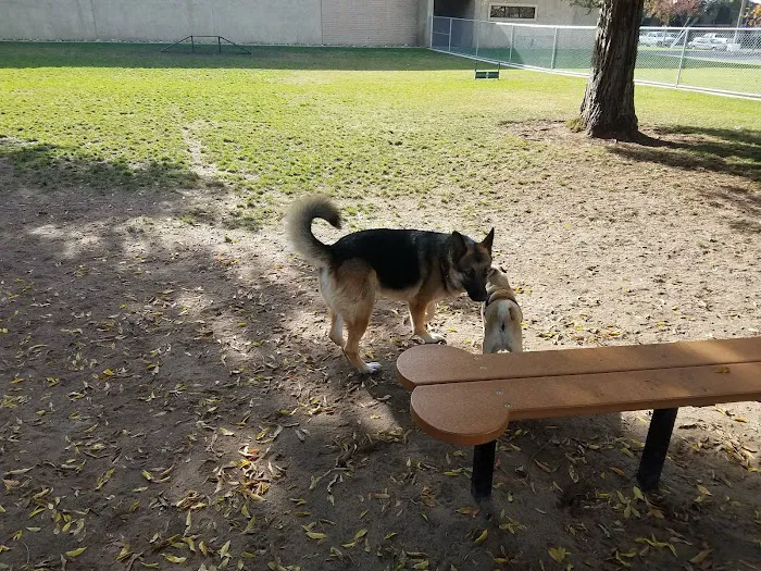 Manteca Dog Park 9