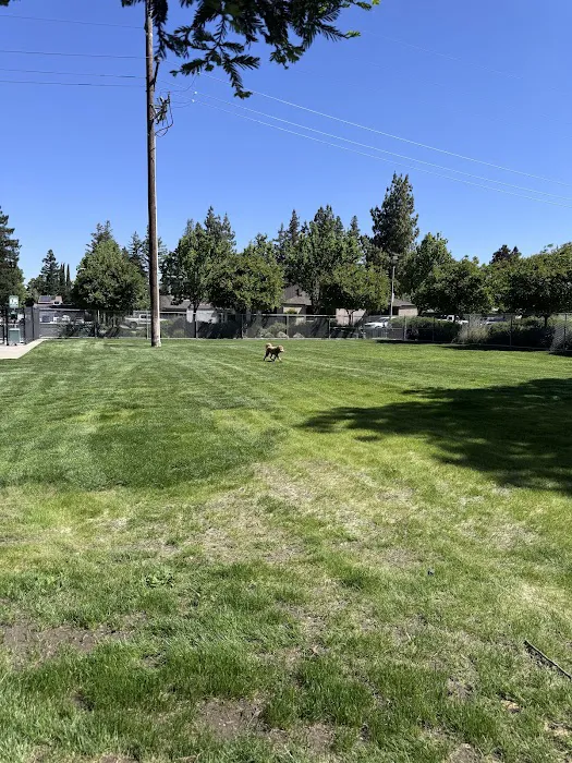 Manteca Dog Park 4